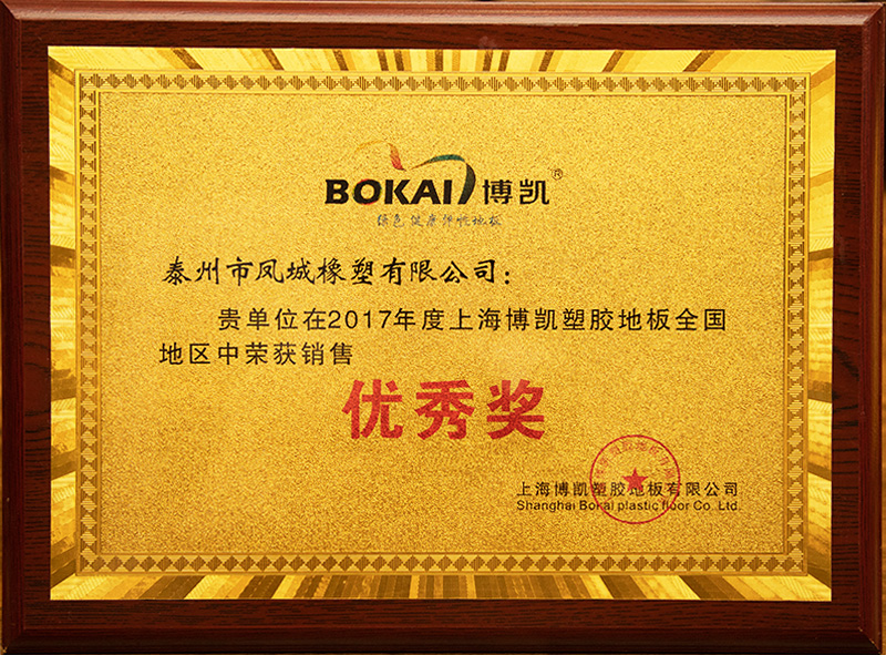 鳳城橡塑2017年度上海博凱塑膠地板全國銷售優秀獎